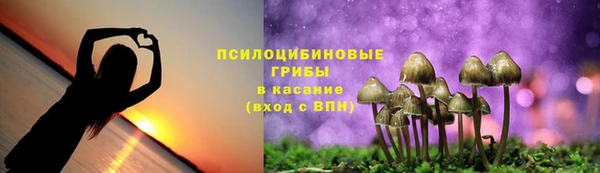 мяу мяу мука Абинск