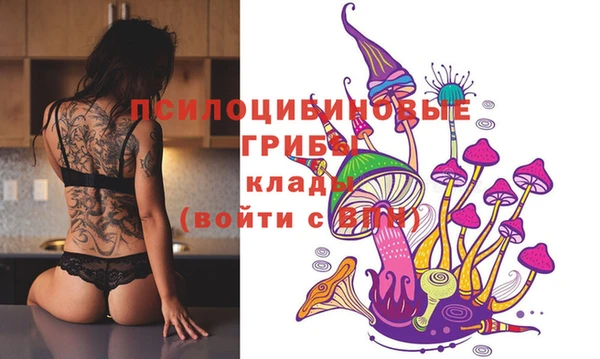 мяу мяу мука Абинск