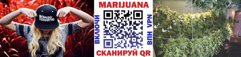 блэк спрут маркетплейс  Адыгейск  Каннабис план  магазин  наркотиков 